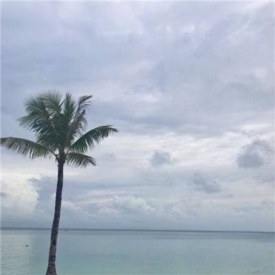 战刀塔官方下载