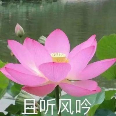 末日之崛起手机版下载