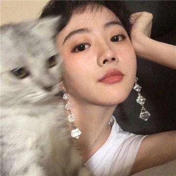 天天萌战记手机版下载